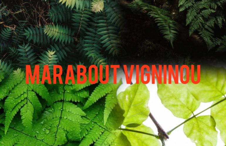 Comment faire un bain de chance avec des feuilles de brousse  ?