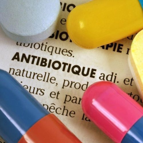 Puissant Antibiotique Naturel