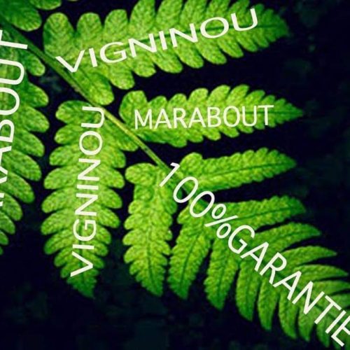comment envouter un homme naturellement
